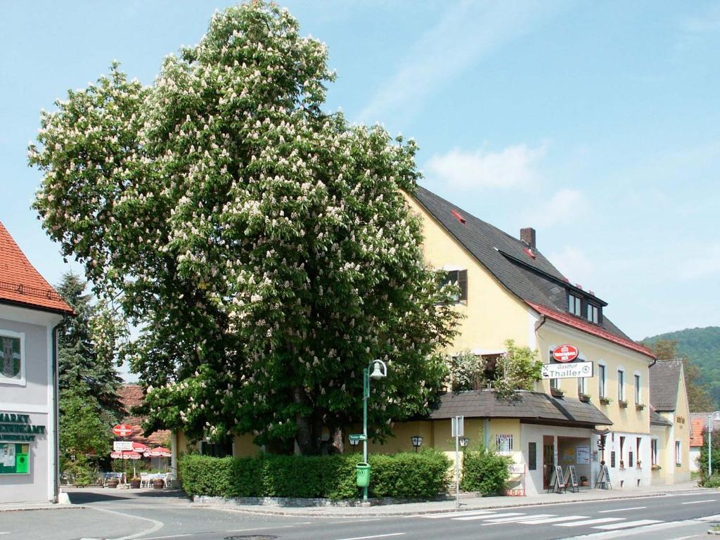 Lebring Gasthof Thaller酒店 外观 照片
